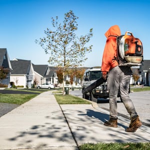 leaf blowing, residential landscape maintenance