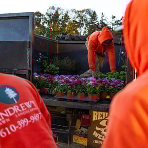 seasonal flowers, planting, commercial landscape enhancements