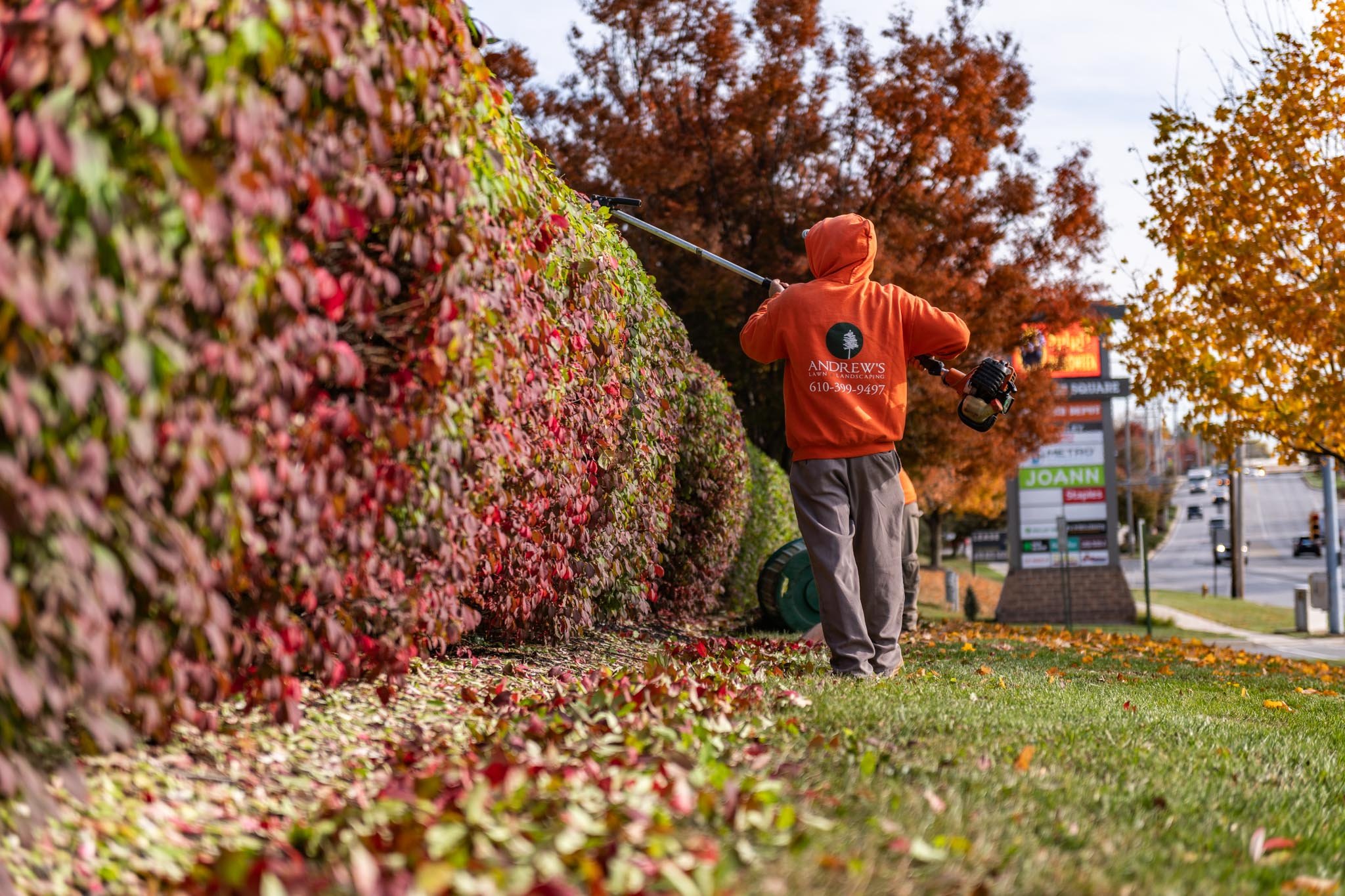 Tree and Shrub Pruning, Cutbacks, Commercial Landscape Maintenance, Andrews Lawn and Landscaping