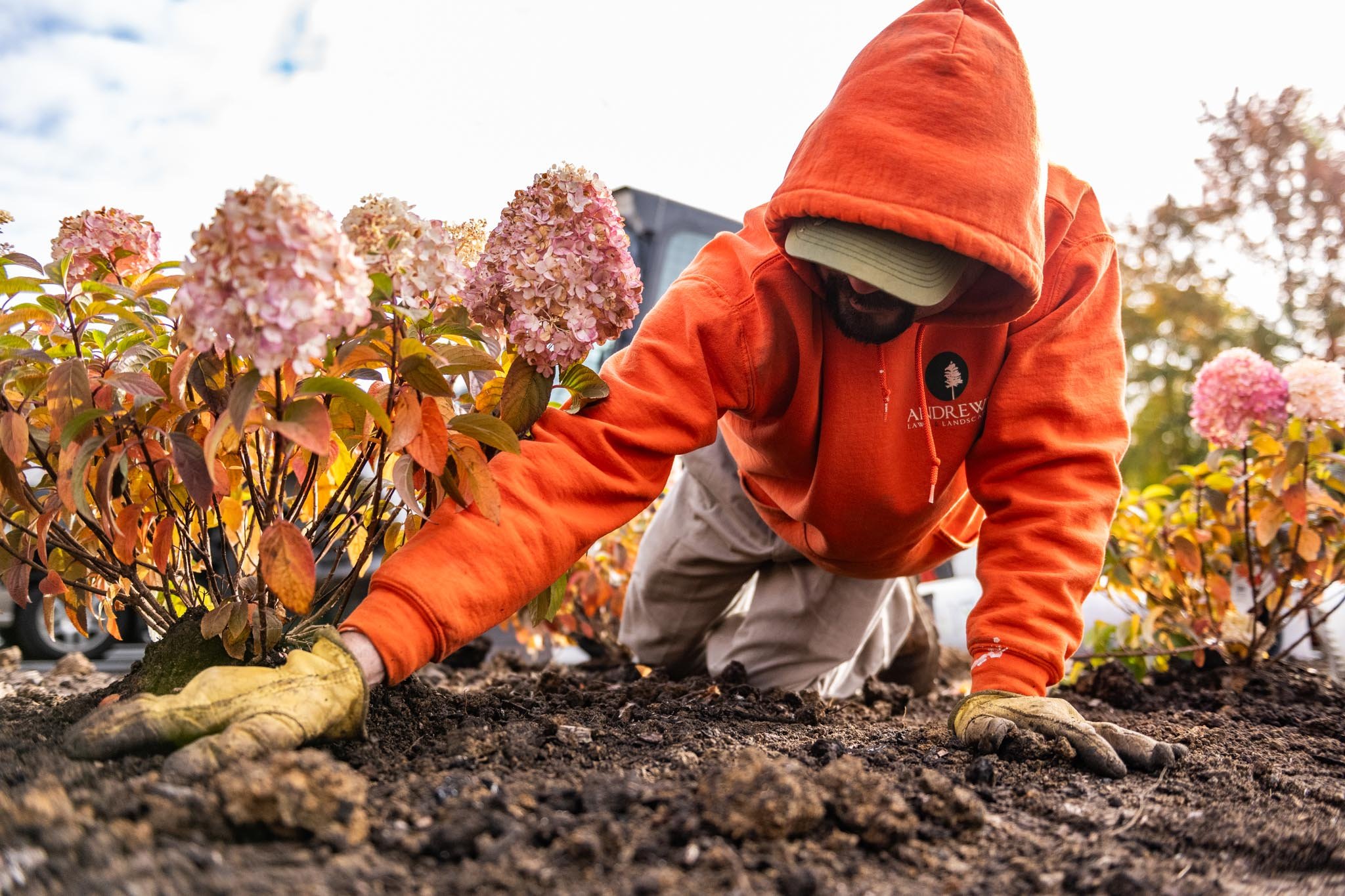 Bed maintenance, seasonal planting, weeding, commercial landscape enhancements